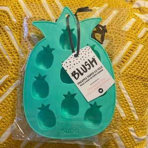 Blush Pineapple Ice Tray